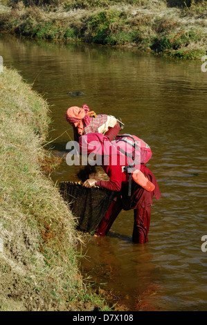 Les népalaises avec filets de pêche traditionnels près de Phokara, Népal Banque D'Images