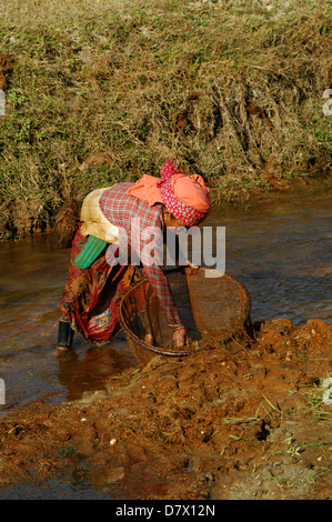 Les népalaises avec filets de pêche traditionnels près de Phokara, Népal Banque D'Images