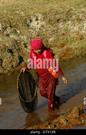 Les népalaises avec filets de pêche traditionnels près de Phokara, Népal Banque D'Images