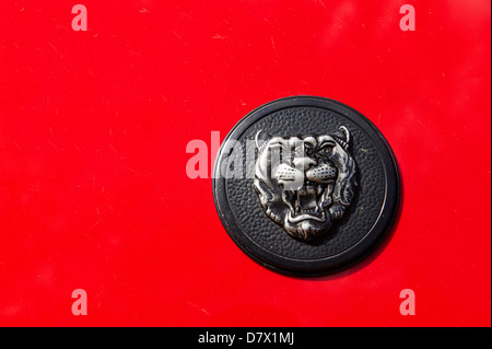 Bonnet rouge sur l'insigne de Jaguar Banque D'Images