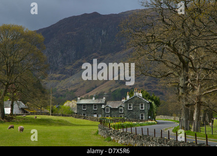 House in Borrowdale, Parc National de Lake District, Cumbria, Angleterre, Royaume-Uni Banque D'Images