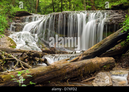 Les chutes du ruisseau de tisserands à Owen Sound, Ontario, Canada Banque D'Images