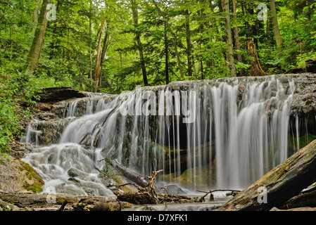 Les chutes du ruisseau de tisserands à Owen Sound, Ontario, Canada Banque D'Images