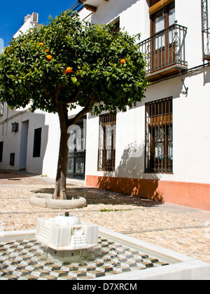 Carré soleil et sol carrelé fontaine dans la Juderia ancien quartier juif de Cordoue, andalousie andalousie espagne Europe Banque D'Images