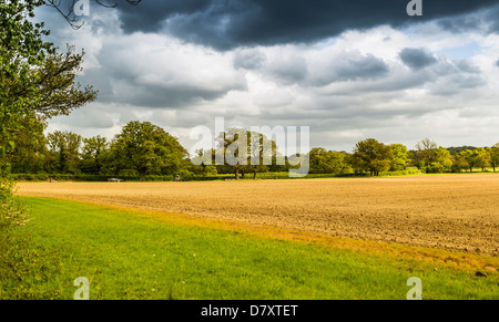 Champ arable préparées pour l'ensemencement collines du Surrey en Angleterre Banque D'Images