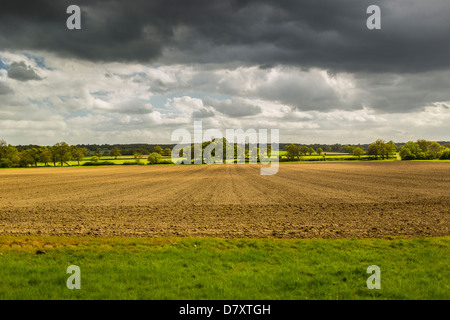 Champ arable préparées pour l'ensemencement collines du Surrey en Angleterre Banque D'Images