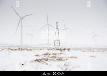 Éoliennes et la grille d'alimentation, de la neige en plein hiver, le droit Dun Wind Farm, Soutra, Édimbourg Banque D'Images