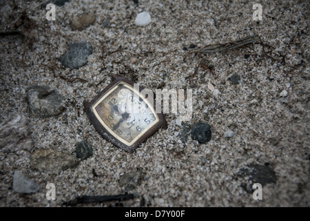 Le Loch Lomond, Ecosse, île de Inchconnachan - une vieille watch lavés sur le rivage Banque D'Images