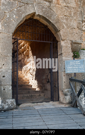 Ruines du château des Croisés, Ajlun, Jordanie Banque D'Images