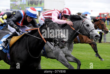 SOCIETY ROCK MONTÉ PAR KIEREN LE DUC DE YORK STAKES HIPPODROME DE YORK YORK ANGLETERRE 15 Mai 2013 Banque D'Images