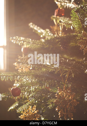 Close up of decorated Christmas Tree Banque D'Images