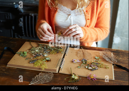 L'organisation de femme fleurs séchées et d'herbes sur le portable Banque D'Images