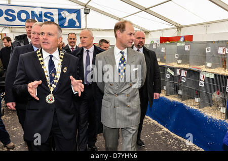 Lisburn, Irlande du Nord. 15 mai, 2013. Le comte de Wessex, Prince Edward, examine les pièces déposées dans la section de la volaille. au Balmoral Show, Lisburn. Crédit : Stephen Barnes/Alamy Live News Banque D'Images