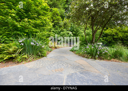 Ardoise Chemin de ronde de jardin avec arbres et arbustes, les iris de l'Oregon Banque D'Images