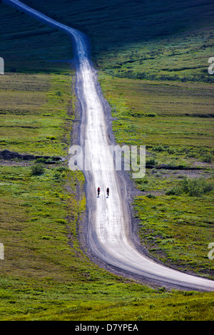 Deux cyclistes équitation l'accès limité route vers Stony Dome, Denali National Park, Alaska, USA Banque D'Images