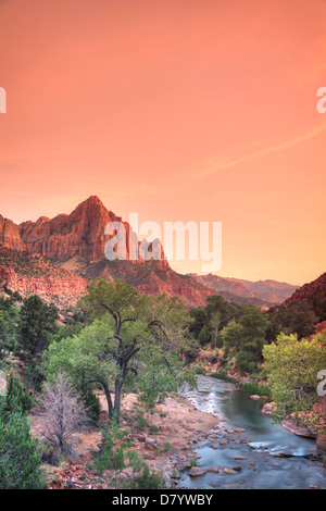 USA, Utah, Zion National Park, Watchman Mountain et Virgin River Banque D'Images