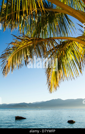 Ribeirao da Ilha Beach. Banque D'Images