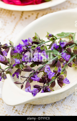 Un plat blanc violet avec des fleurs comestibles dans sage. Banque D'Images