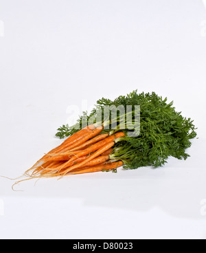 Un tas de carottes néerlandais sur un fond blanc. Banque D'Images