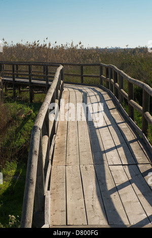 Passerelle menant au marais dans un parc naturel Banque D'Images