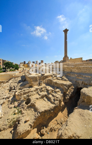 Pilier Pompeys Alexandrie Egypte Afrique du Nord Banque D'Images