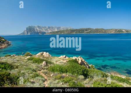 Vue sur la mer et la côte des îles de Tavolara et de Molara de Capo Coda Cavallo, cape, San Teodoro, Sardaigne, Italie Banque D'Images