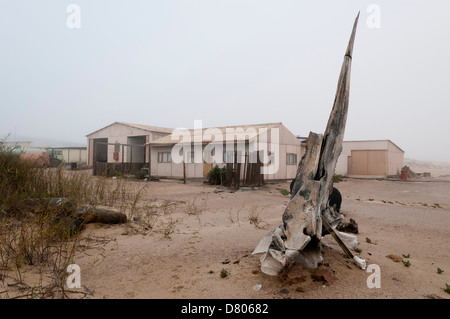 Station forestière, Skeleton Coast National Park, la Namibie. Banque D'Images