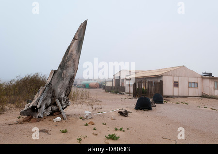 Station forestière, Skeleton Coast National Park, la Namibie. Banque D'Images