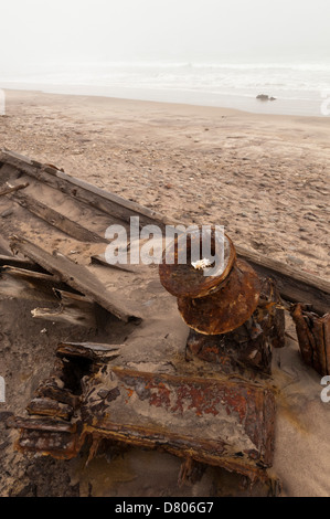 Naufrage, Skeleton Coast National Park, la Namibie. Banque D'Images