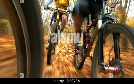 Vue brouillée de vélo de montagne dans la forêt Banque D'Images