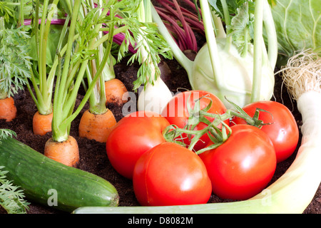 Beaucoup de légumes biologiques frais dans le jardin de plus en plus libre Banque D'Images