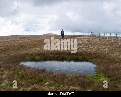 Une colline Walker s'approche d'une piscine sur le sommet de la MOEL Cynghorion, une colline sur le SW ridge de Snowdon Banque D'Images