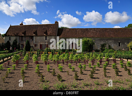 Rangées de légumes et de fleurs à couper en face de l'ancienne ferme à Chenonceau, Loire, France Banque D'Images