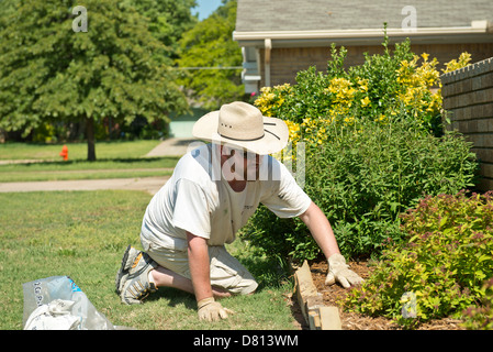 Un homme de race blanche, âgé de 27 ans, les écarts de paillis dans un lit contenant des arbustes. New York, USA. Banque D'Images