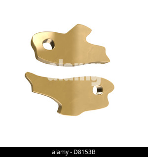 L'étoile est le signe des Poissons en astrologie une caractéristique pour l'époque dans laquelle nous sommes nés. Banque D'Images