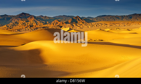 L'aube sur Mesquite Dunes dans la vallée de la mort Banque D'Images