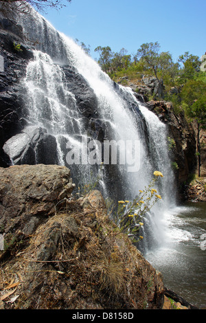 McKenzie Falls, le Parc National des Grampians, Australie Banque D'Images