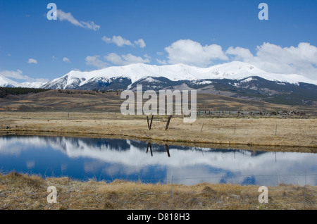 La ligne de partage des eaux près de Leadville, Colorado est recouvert d'une lourde neige fraîche, ce qui se reflète dans un ranch étang. Banque D'Images