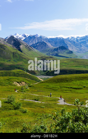 Les randonneurs et voir au sud de l'Alaska, Eielson Visitor Center, le parc national Denali, Alaska, USA Banque D'Images
