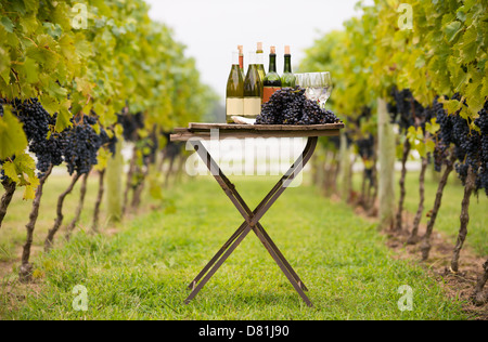 Bouteille de vin, des raisins et des verres sur la table de la vigne Banque D'Images