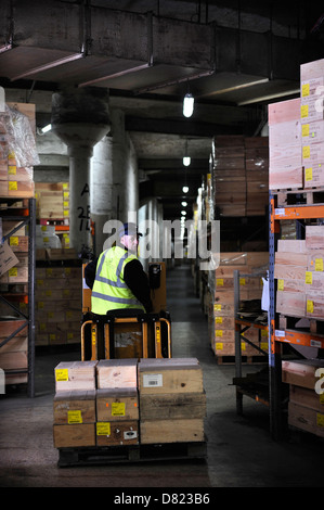 D'Octavia Cert Corsham Cellars un vin fin installation de stockage sur le site d'une ancienne mine près de Chippenham, Wiltshire, UK Banque D'Images