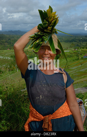 L'INDONÉSIE, Bali, femme dans un champ de riz près de Jatiluwith Banque D'Images