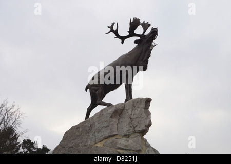 Close up du Caribou, Terre-Neuve Memorial Park Banque D'Images