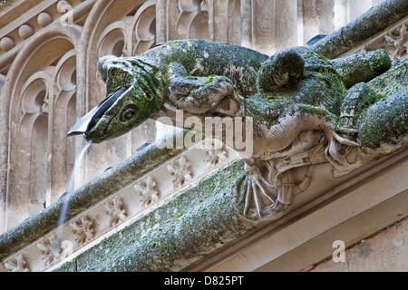 TOLEDO - 8 mars : Détail d'animal comme spoutler gothique dans la pluie à partir d'atrium de Monasterio de San Juan de los Reyes Banque D'Images