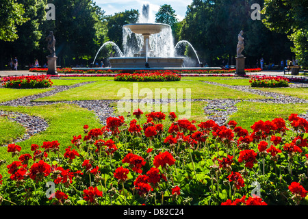 Les géraniums rouge en face de la fontaine de Ogród Saski, jardin Saxon, le plus vieux parc public à Varsovie, Pologne. Banque D'Images