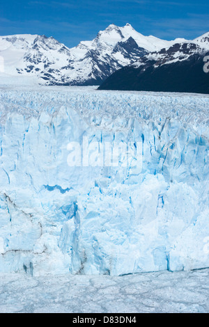 Glacier Perito Moreno, glacier en progression, terminus du Lago Argentino dans le parc national de Los Glaciares Banque D'Images