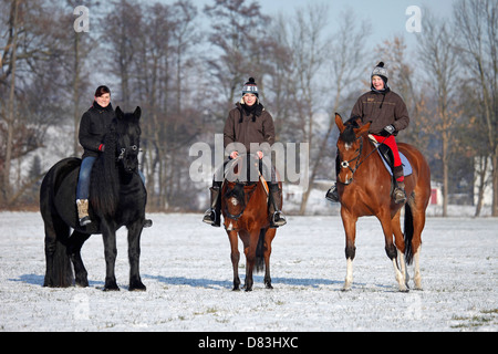 Les cavaliers avec chevaux Banque D'Images