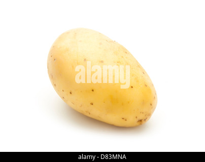 Seule pomme de terre biologique isolé sur fond blanc Banque D'Images