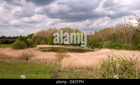 Étang dans la campagne du Cheshire, près de Sandbach UK Banque D'Images