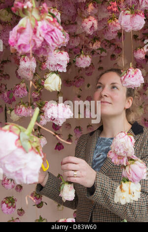 Samedi, 18 mai 2013, Londres, Royaume-Uni. La plantation et les travaux de construction se poursuit pour le Chelsea Flower Show 2013 à la veille de l'ouverture la semaine prochaine. Sur la photo : concepteur floral Rebecca Louise droit avec un affichage des pivoines. Photo : Nick Savage/Alamy Live News Banque D'Images